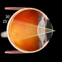 Soczewka FUNDUS 20mm VFUNDUS20