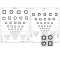 LEA SYMBOLS® & LANDOLT C CHART SET